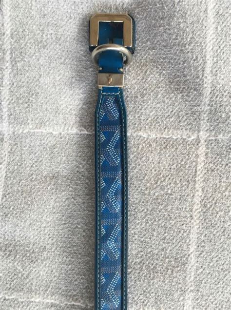 collier chien goyard